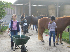 reiten